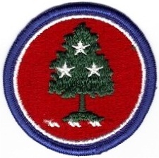 Нарукавный знак Объединенного штаба Национальной гвардии штата Теннеси, СВ США