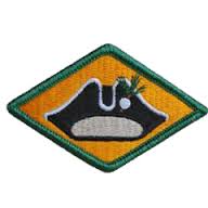 Нарукавный знак Объединенного штаба Национальной гвардии штата Вермонт, СВ США