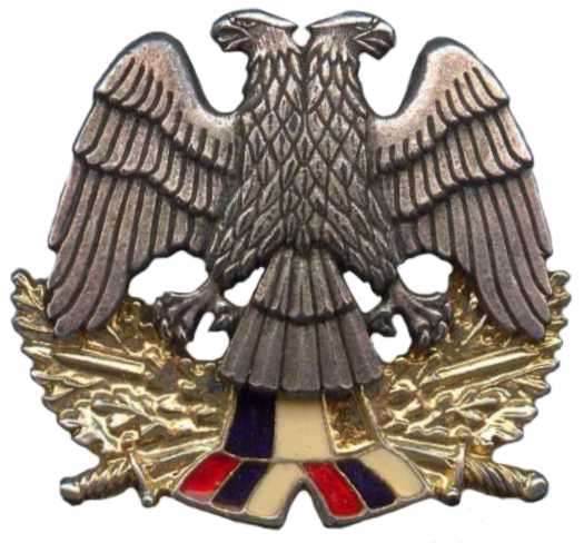 Кокарда знак на берет офицерского состава ВС СРЮ (1992-2003)