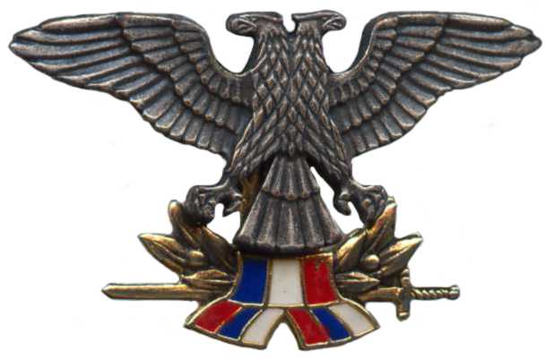 Кокарда знак на берет рядового состава ВВС СРЮ (1992-2003)