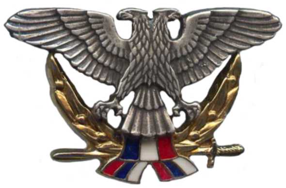 Кокарда знак на берет офицерского состава ВВС СРЮ (1992-2003)