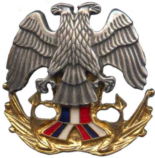Кокарда знак на берет офицерского состава ВМС СРЮ (1992-2003)