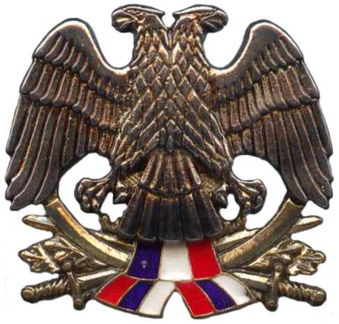 Кокарда знак на берет офицерского состава военной полиции ВС СРЮ (1992-2003)