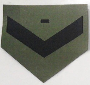 BDU rank insignia for Private Comissioned Second Class (lowest rank)