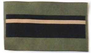 BDU rank insignia for 1st Sergeant