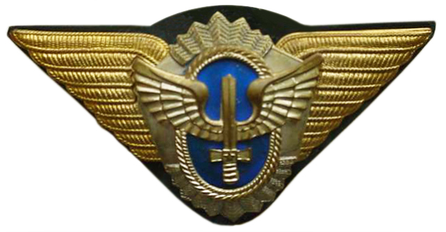 Кокарда офицерская для фуражки ВВС Аргентины