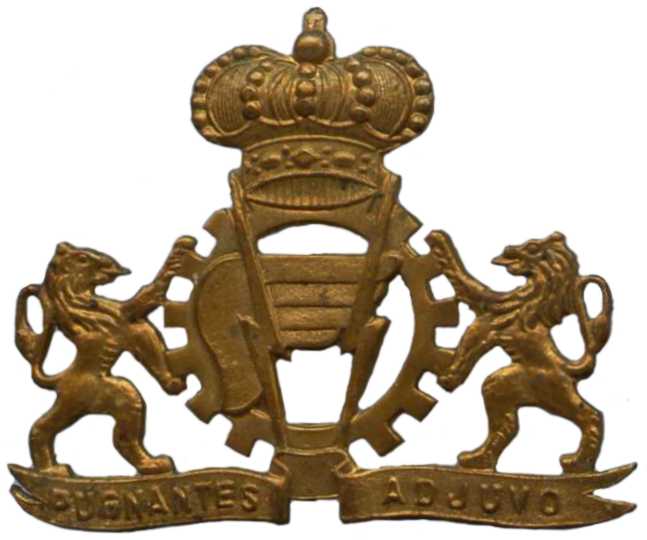 Кокарда знак корпуса логистики Королевских ВС Бельгии