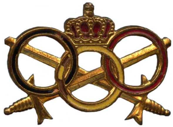 Кокарда знак корпуса физической подготовки для офицеров Королевских ВС Бельгии