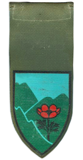 91st Territorial Infantry Division 