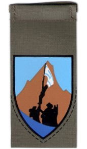 Territorial Infantry Brigade 