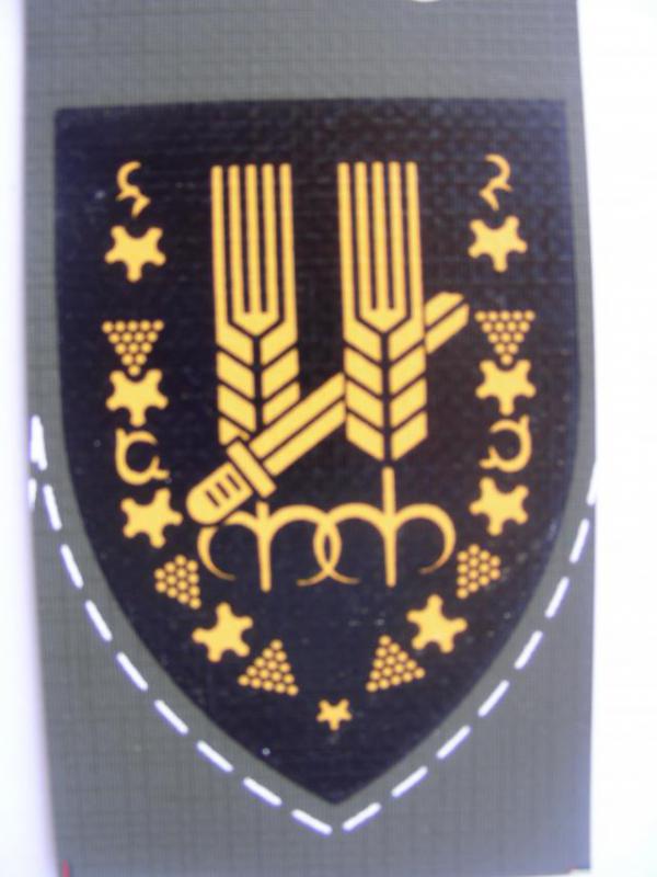 10-я резарвная пехотная бригада 