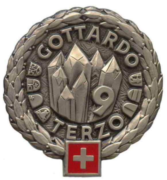 Беретный знак 9-й дивизии территориальных войск Швейцарской армии