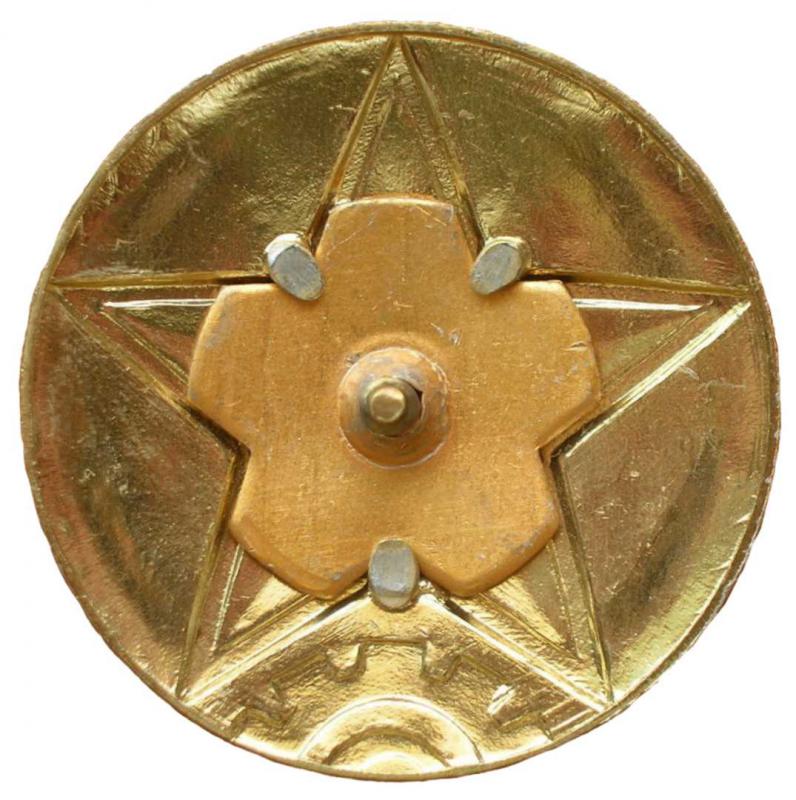Кокарда эмблема на тулью фуражки Сухопутных сил и Второй артиллерии НОАК