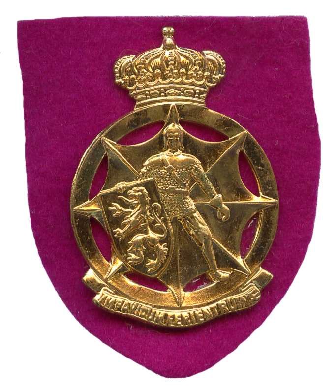 Кокарда знак на берет корпуса Гражданской обороны Королевства Бельгии