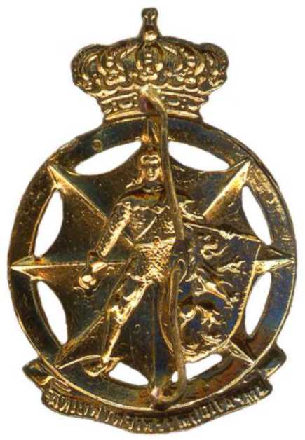 Кокарда знак на берет корпуса Гражданской обороны Королевства Бельгии