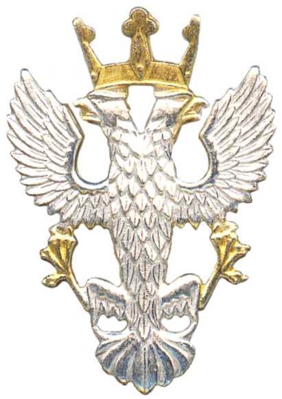 Кокарда знак на фуражку Мерсианского пехотного полка