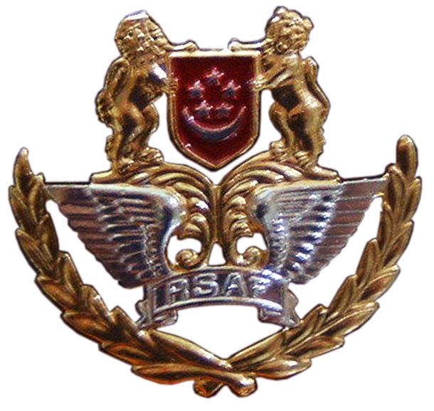 Singapore Air Force Officer Beret Badge