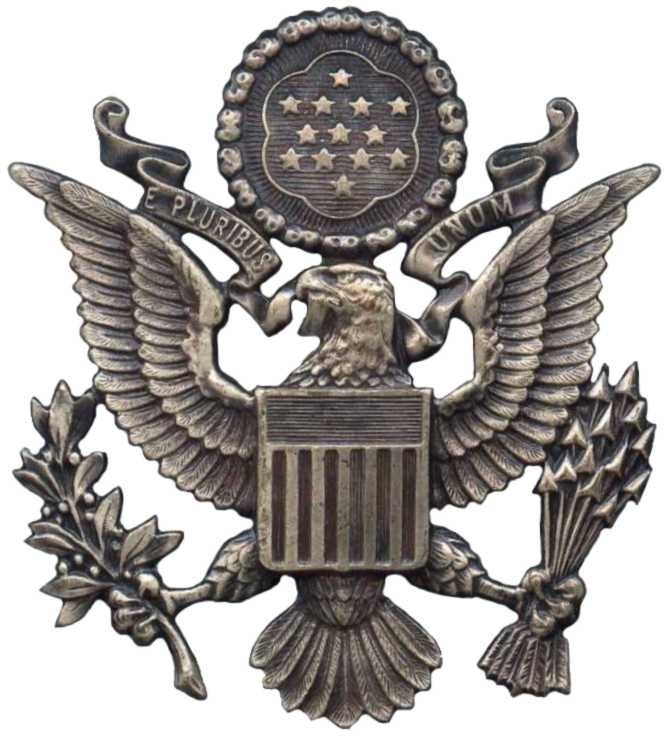 Кокарда эмблема на парадную фуражку офицерского состава Военно-воздушных сил США