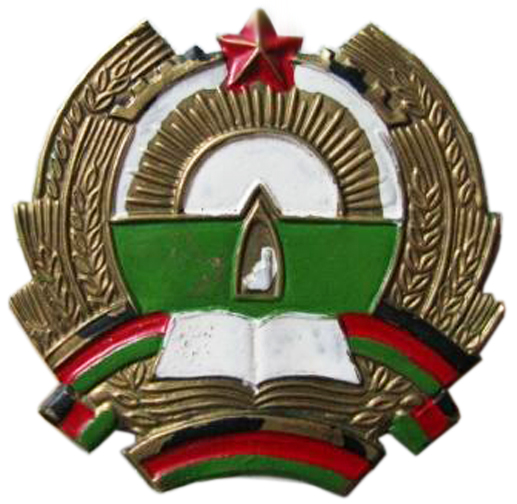 Badge Afghan National Army