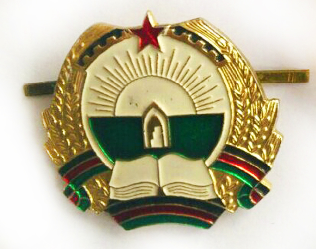 Badge Afghan National Army
