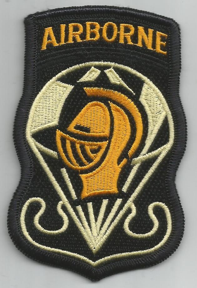 US army parachutist team \