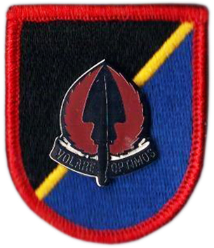 Special Operation Aviation Command Beret Flash. USA