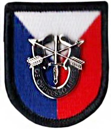 6th Special Operation Command Support Beret Flash. USA