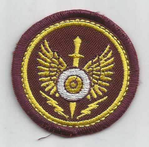 Beret Cloth Badge for Spesial Forces of Uzbekistan