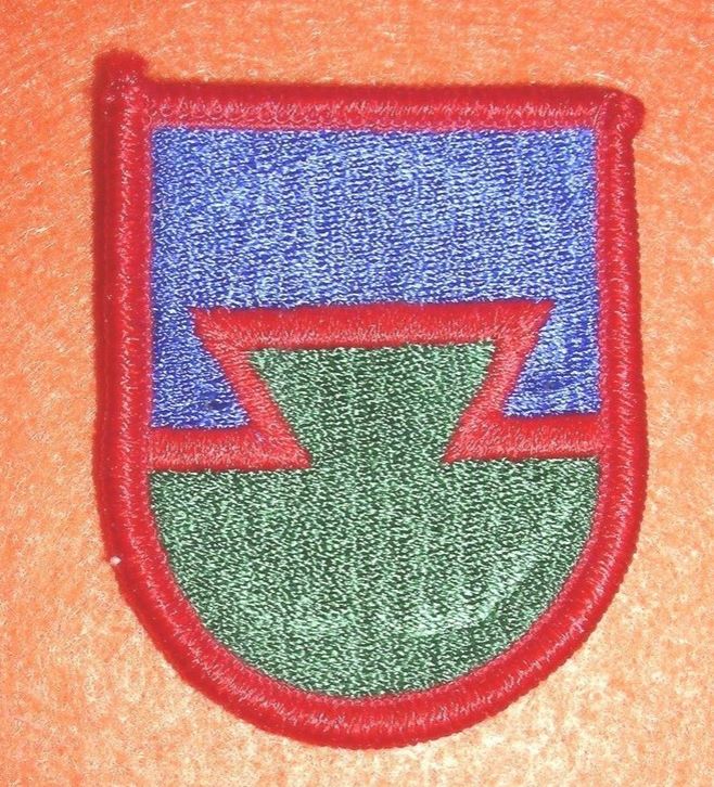 US Airforce Tactical Air Control Party ( TACP) beret badge
