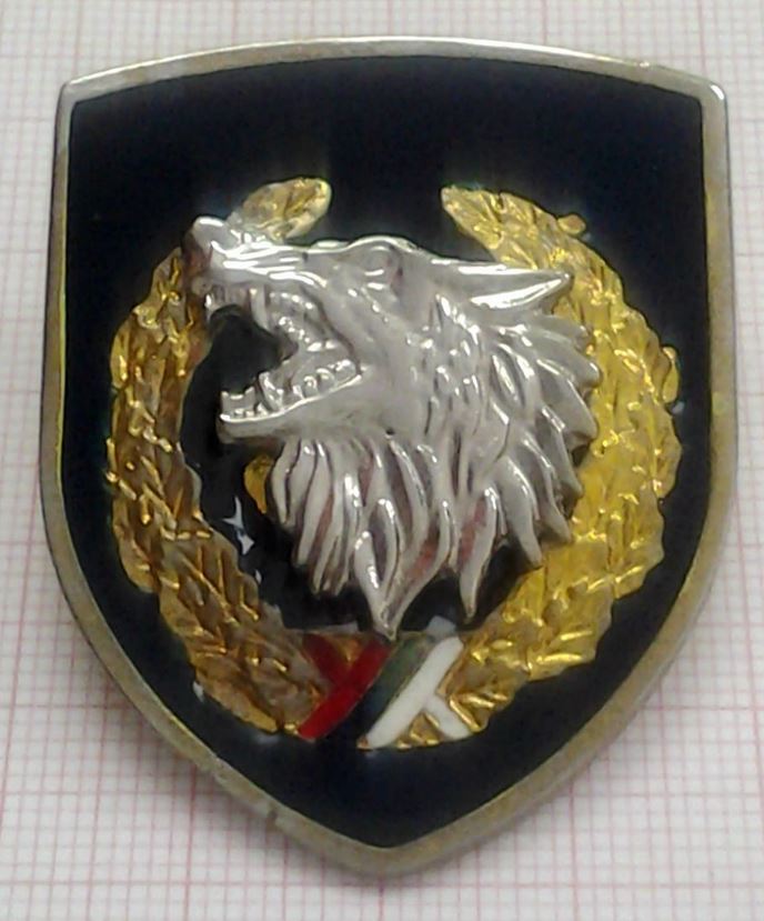 Special Operation Unit ( Jedinica za Specijalne Operacije/ JSO) 1996-2003