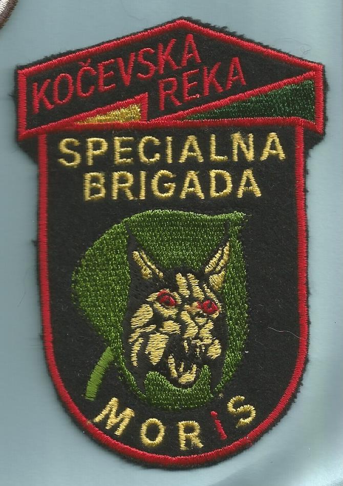 Special Forces brigade \