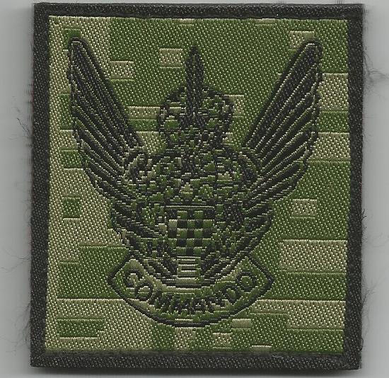 Special Operations Battalion pocket badge