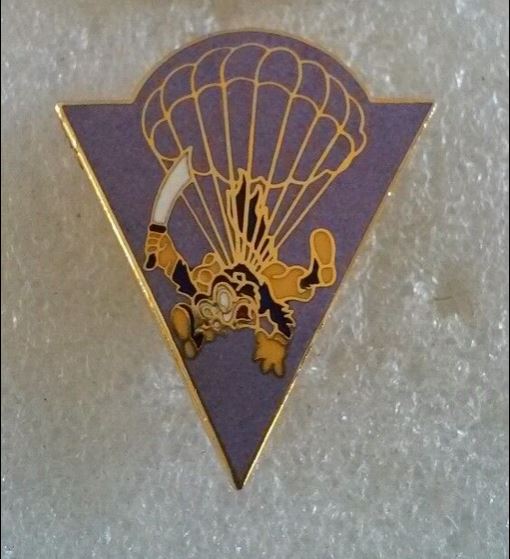 515th Parachutist Infantry Regiment ( obsolute)