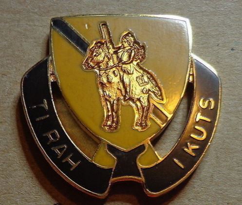 1st Sq 167th Cavalry ( LRSD)