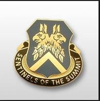 110th Military Intelligence bn LRS