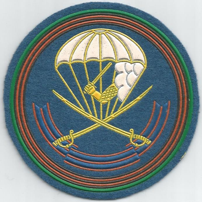 217th Airborne regiment of 98th Airborne division