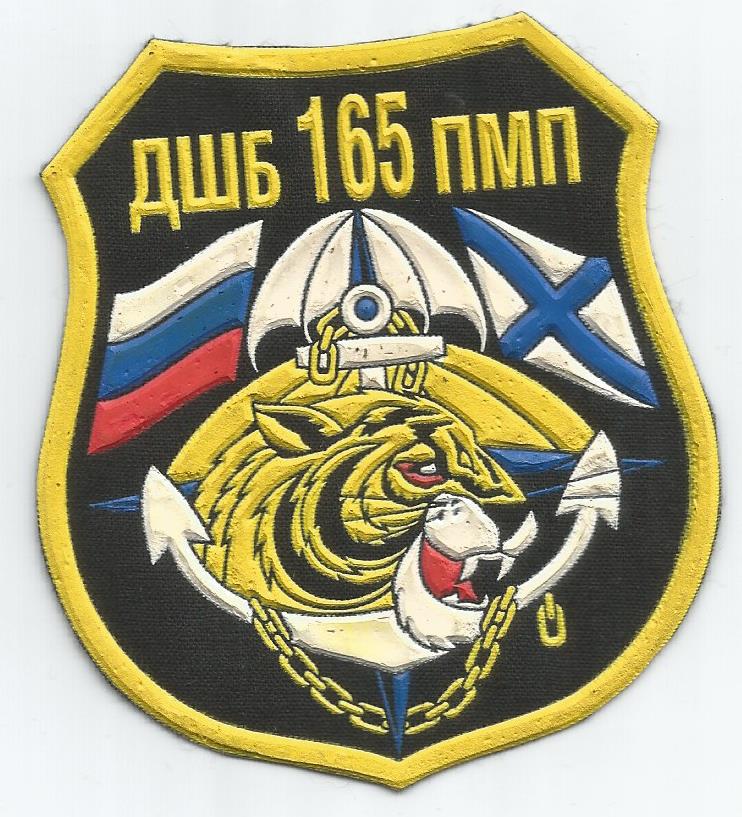 Air assault battalion of 165th marine regiment