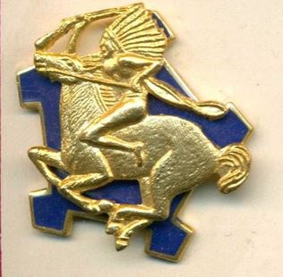 9th Cavalry regiment