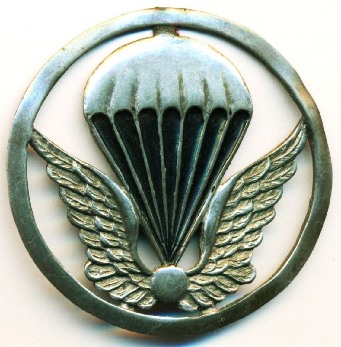 Paratrooper beret badge