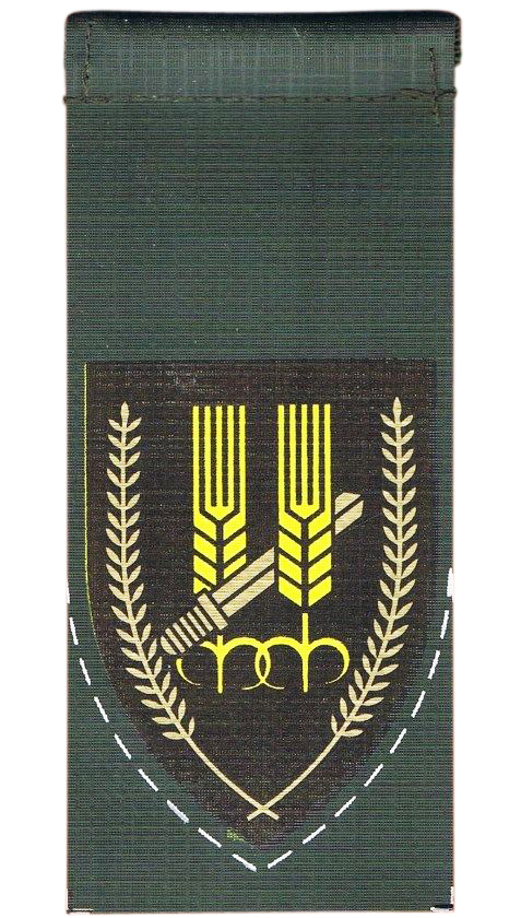 10-я резарвная пехотная бригада