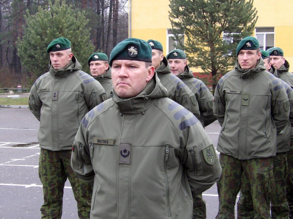 Кокарда бригады « Железный Волк » Вооружённых сил Литвы