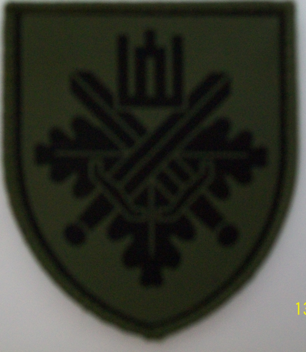 Добровольные силы охраны края с 2012 года