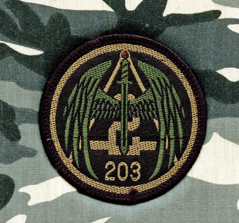 203rd Special assault unit