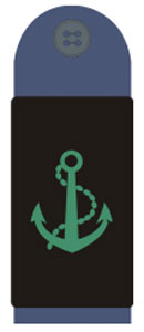 Знаки различия вооруженных сил Содружества Багамских островов