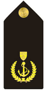 Знаки различия вооруженных сил Содружества Багамских островов