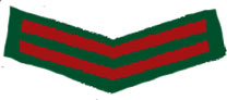 погоны армии Бангладеш