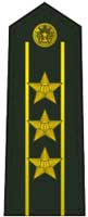 insignia of the People's Liberation Army of China