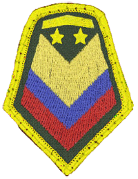 Command Sergeant Major