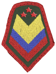 Command Sergeant Major