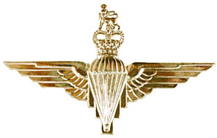 эмблема воздушно-десантных войск
